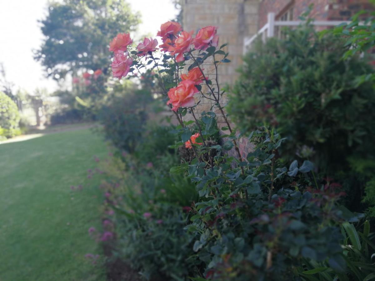 Clarens Cottages Buitenkant foto